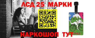 гидра Кандалакша