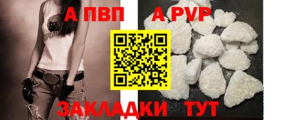 гидра Кандалакша