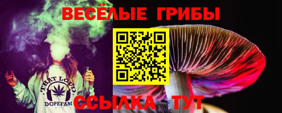 Каменск-Шахтинский  Псилоцибиновые грибы Psilocybine cubensis  Вход с VPN 